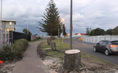 Foreshore Shady Deal Exposed